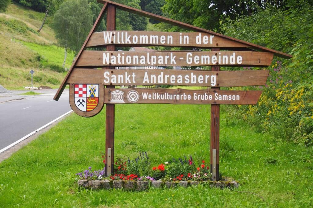 Apartment Harzblick -Neu Modernisiert- Sankt-Andreasberg Extérieur photo
