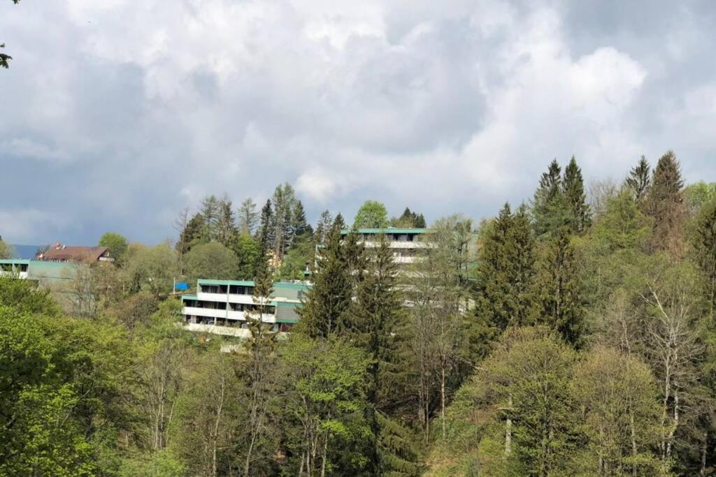 Apartment Harzblick -Neu Modernisiert- Sankt-Andreasberg Extérieur photo